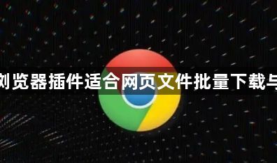 谷歌浏览器插件适合网页文件批量下载与管理1