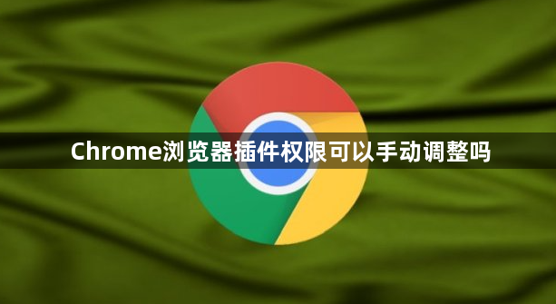 Chrome浏览器插件权限可以手动调整吗1