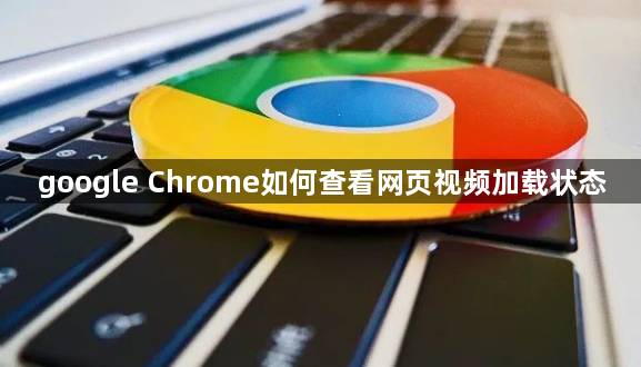 google Chrome如何查看网页视频加载状态1