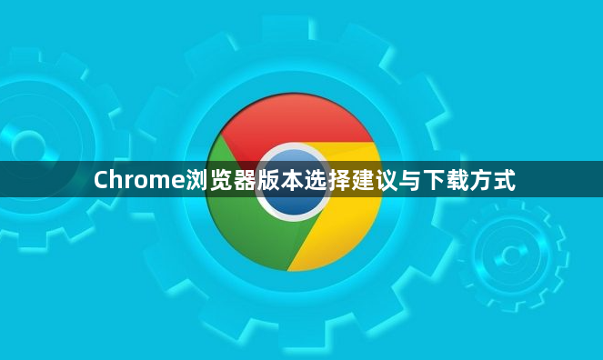 Chrome浏览器版本选择建议与下载方式1