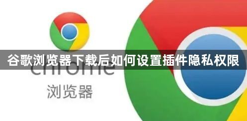 谷歌浏览器下载后如何设置插件隐私权限1