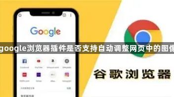 google浏览器插件是否支持自动调整网页中的图像1