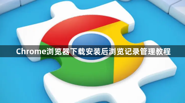 Chrome浏览器下载安装后浏览记录管理教程1