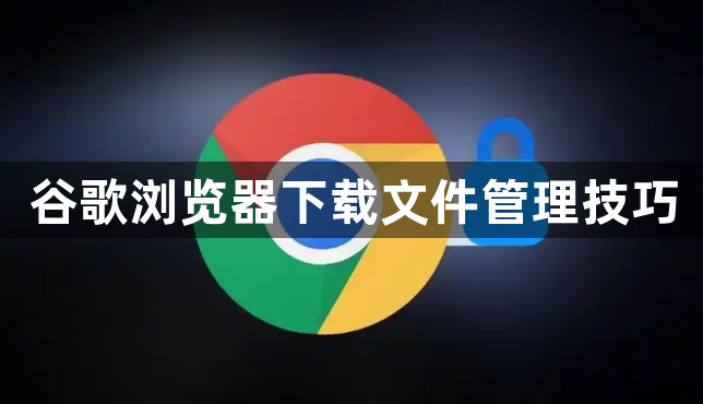谷歌浏览器下载文件管理技巧1