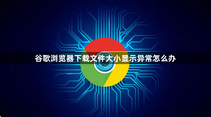 谷歌浏览器下载文件大小显示异常怎么办1