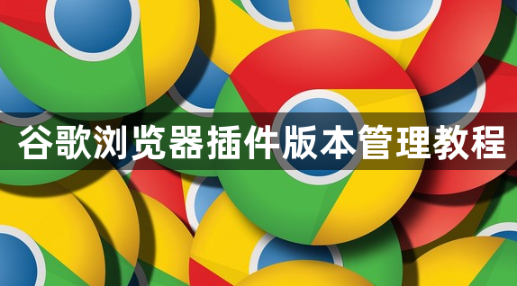 谷歌浏览器插件版本管理教程1