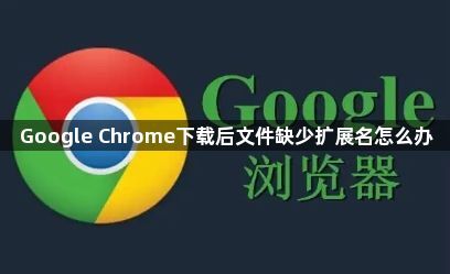 Google Chrome下载后文件缺少扩展名怎么办1