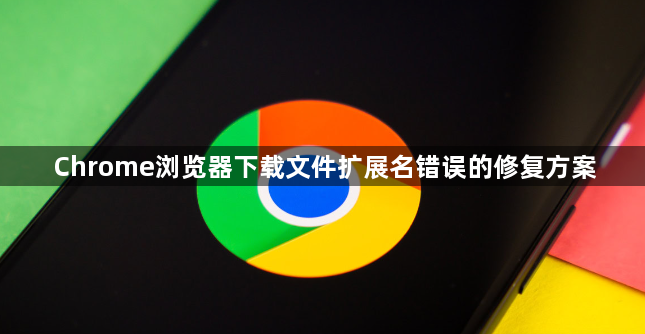 Chrome浏览器下载文件扩展名错误的修复方案1