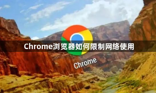 Chrome浏览器如何限制网络使用1