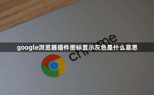 google浏览器插件图标显示灰色是什么意思1