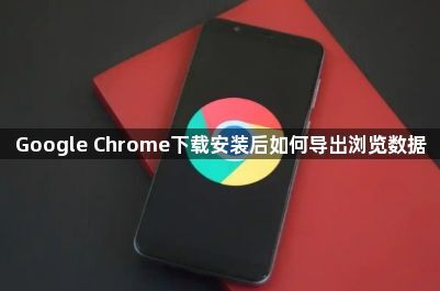 Google Chrome下载安装后如何导出浏览数据1