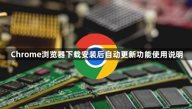 Chrome浏览器下载安装后自动更新功能使用说明1
