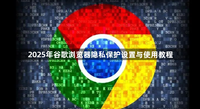 2025年谷歌浏览器隐私保护设置与使用教程1