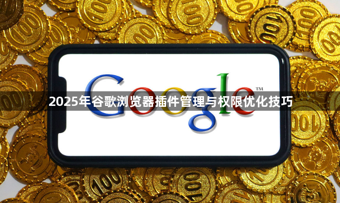 2025年谷歌浏览器插件管理与权限优化技巧1