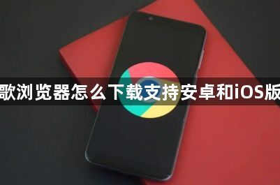 谷歌浏览器怎么下载支持安卓和iOS版本1