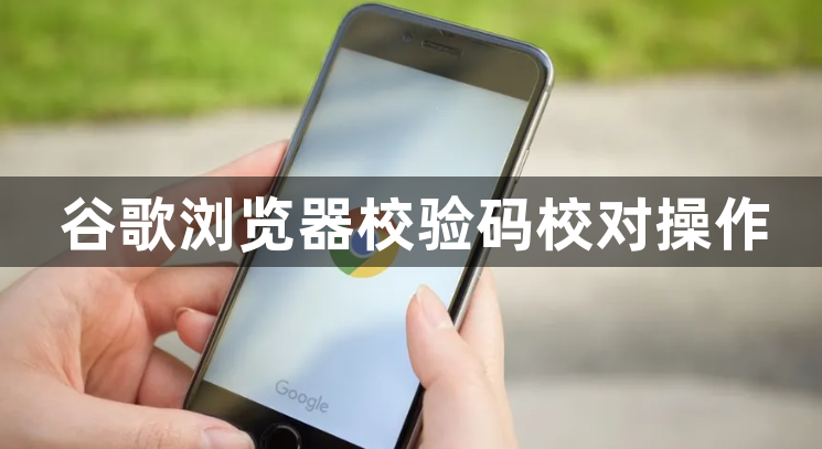 谷歌浏览器校验码校对操作1
