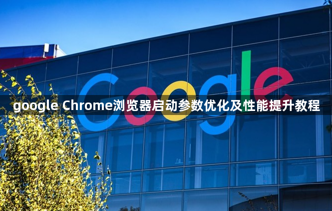 google Chrome浏览器启动参数优化及性能提升教程1
