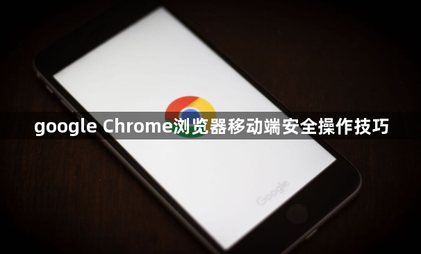 google Chrome浏览器移动端安全操作技巧1