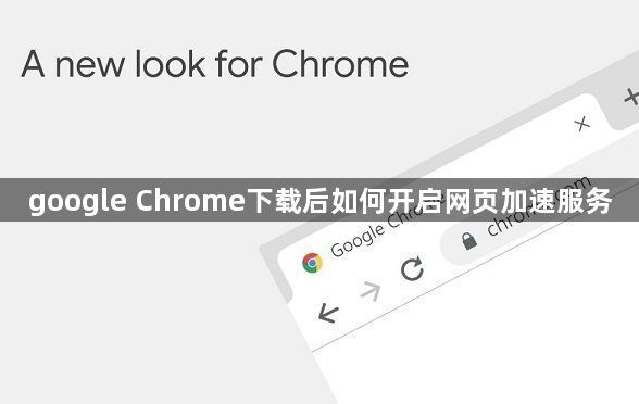 google Chrome下载后如何开启网页加速服务1