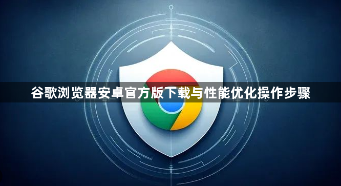 谷歌浏览器安卓官方版下载与性能优化操作步骤1