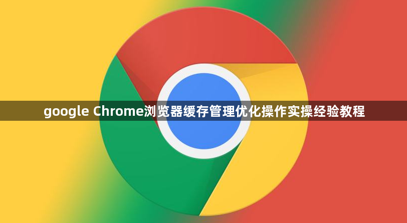 google Chrome浏览器缓存管理优化操作实操经验教程1