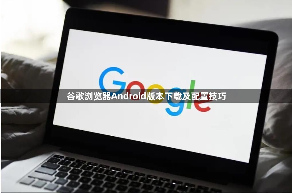 谷歌浏览器Android版本下载及配置技巧1