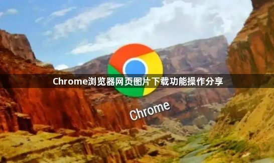 Chrome浏览器网页图片下载功能操作分享1