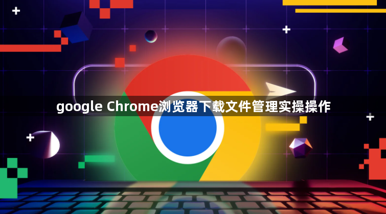 google Chrome浏览器下载文件管理实操操作1