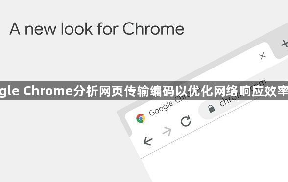 google Chrome分析网页传输编码以优化网络响应效率指南1