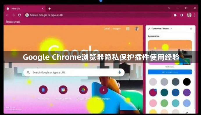 Google Chrome浏览器隐私保护插件使用经验1