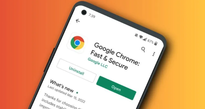Chrome浏览器网页加载异常处理与优化实战技巧
